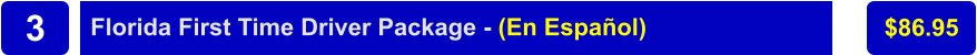Florida First Time Driver Package - (En Español) $86.95 3